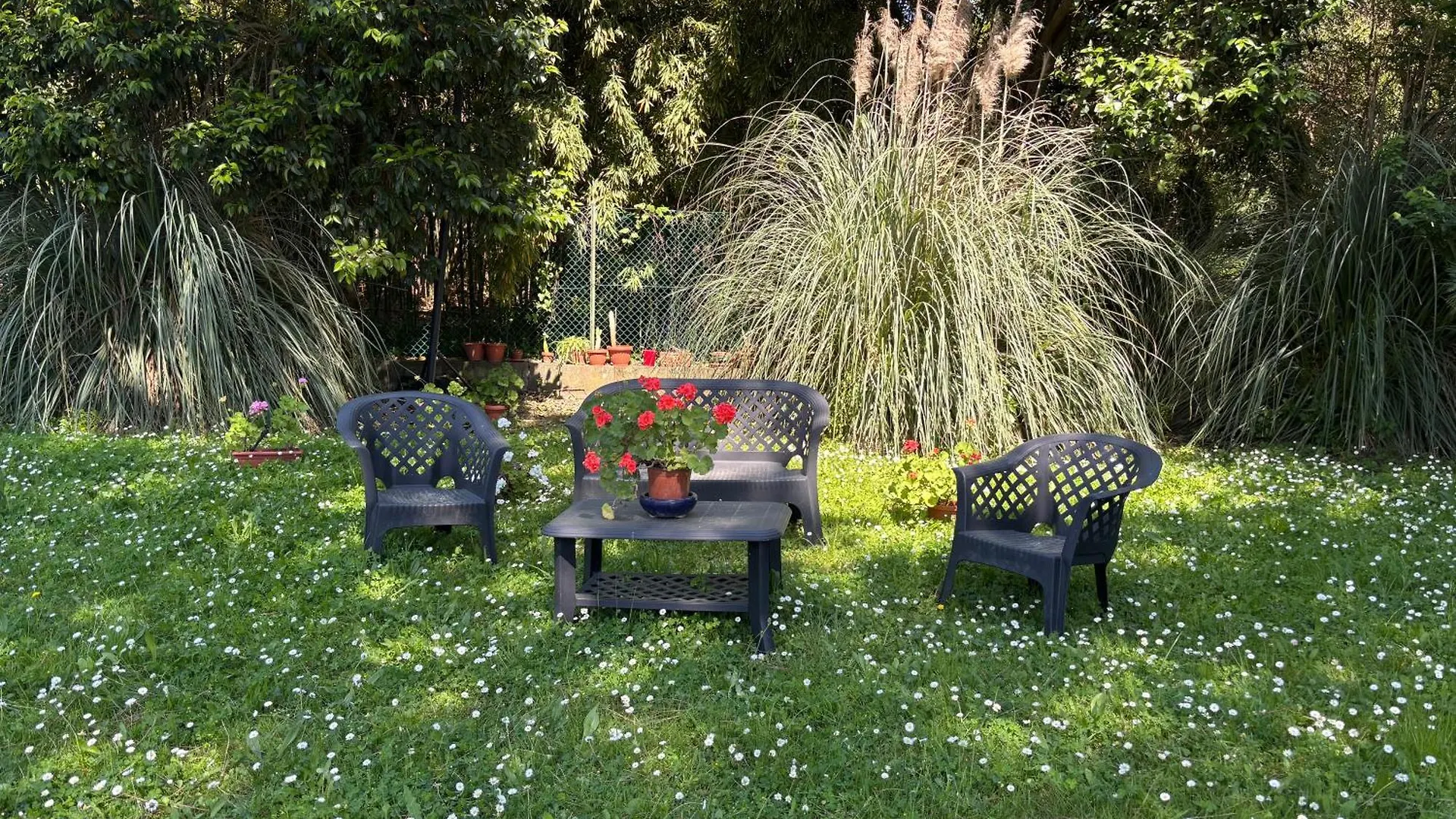 La Casa Di Nana' Apartment Pisa